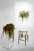 CH24 Wishbone CHair / Seaweed